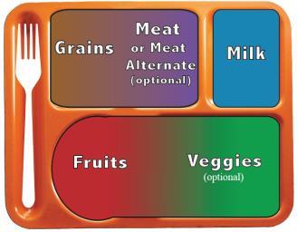 IDENTIFYING WHOLE GRAINS Whole Grains consist of the entire cereal grain seed or kernel. The kernel has three parts the bran, the germ, and the endosperm.