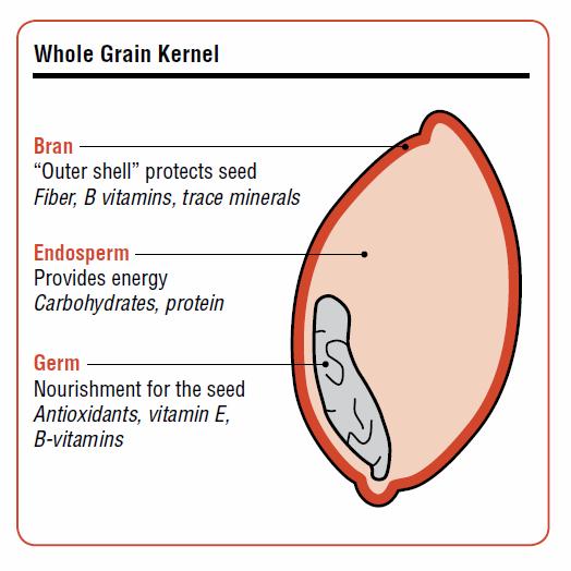 If the first ingredient listed contains the word whole followed by the name of the grain, it is safe to assume the product is mostly whole grain.