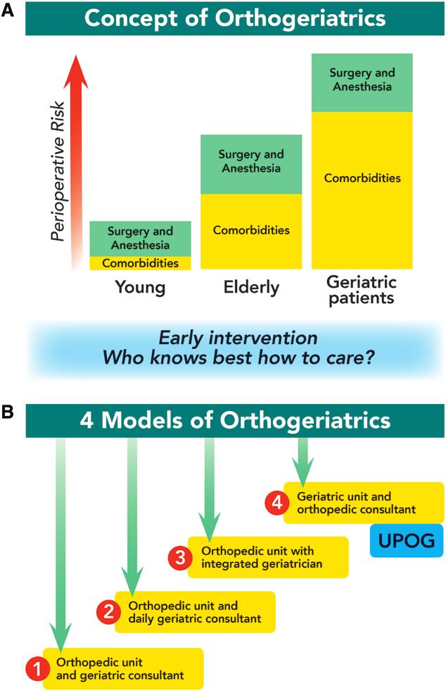 Hip Fracture in the Elderly Fig. 3. Survival curves for mortality for patients in the orthopedic (solid line) and geriatric (dotted line) cohorts.