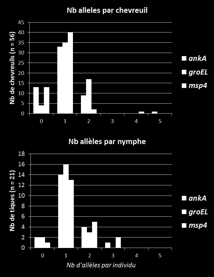 Nb of ticks (n = 21) Nb of roe deer (n = 56) Results: sequencing and co-infection Nb of alleles by roe deer Average