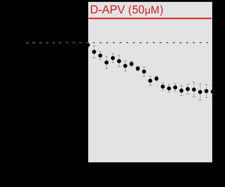 Figure 13. D-APV induces an inward current in SRKO mice at +40 mv. Neurons were voltage clamped at +40 mv in normal magnesium ACSF.
