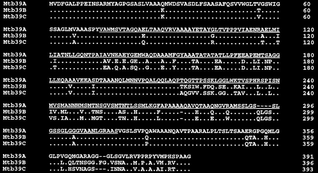 Molecular mass markers are shown in kda (lane 1). erated by PCR cloning of the mtb39a coding sequence into the expression vector JA4304.