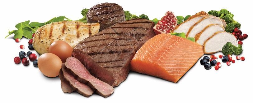 Protein is needed to allow the body to grow, to make hormones and enzymes, these control the body functions, and to make antibodies, which fight germs and illnesses.