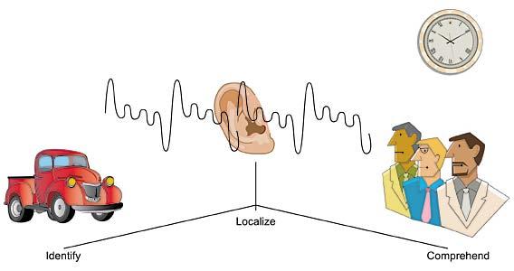 Functions of Hearing Figures by MIT OCW. But how do we know what sounds belong to what source, if more than one sound is present?