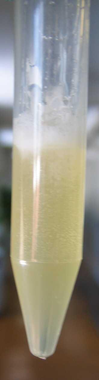 Melting of Lime Honey At 60 C adulterated honey does not melt.