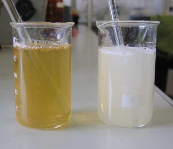 Water solutions of Lime Honey The solution of falsified honey is opaque and heterogeneous.