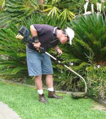 professional level of service of lawn and garden maintenance.