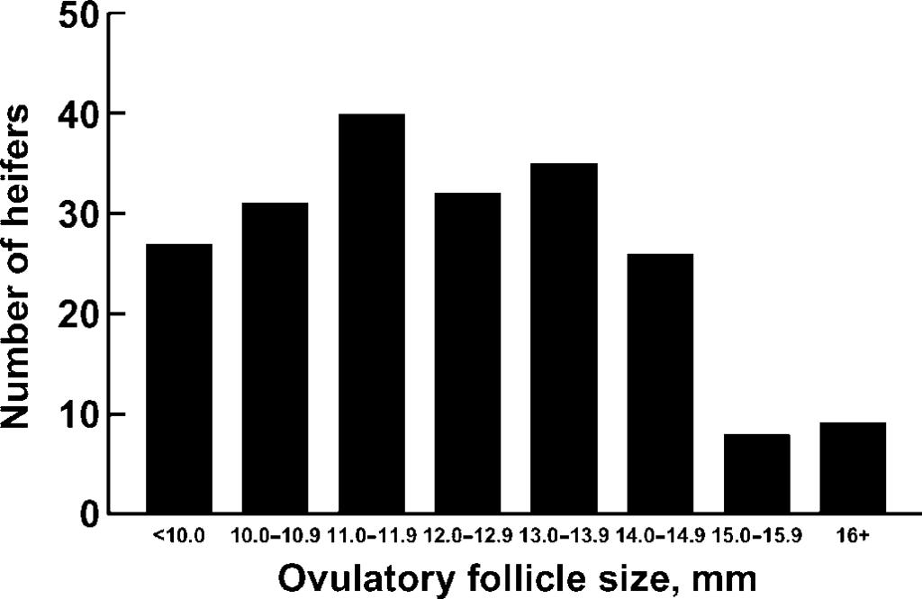 Follicle size and fertility in beef heifers 687 Figure 1. Effect of size of preovulatory follicle on the probability of pregnancy.