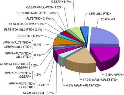 Mrozek K et al Blood 2007: 109: 431-48 Pie chart based on 246 patients analyzed for the presence or absence of mutations in the NPM1 and CEBPA genes, FLT3-ITD, FLT3-TKD, and MLL-PTD