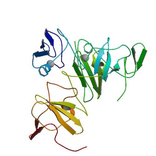 Direct-acting antivirals (DAAs) 5 NTR Capsid C Structural proteins Nonstructural proteins Envelope Glycoproteins E1 E2 Protease Inhibitors «PREVIR» Telaprevir Boceprevir Simeprevir Asunaprevir