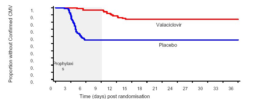 Vaclovir Product Information 8 In renal transplant recipients valaciclovir was significantly better than placebo in preventing or delaying CMV disease by 78% and 82% in the [D+R-] and [R+] strata