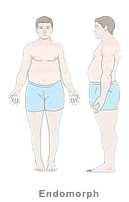 Endomorph (soft, prone to be overweight) Endomorphs usually have larger bones, carry more fat cells and are generally short to medium in height.