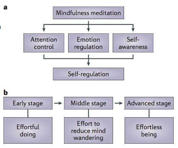 Mindfulness In