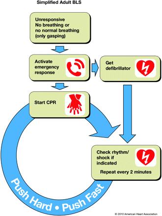 2010 CPR Guidelines International Consensus on Cardiopulmonary Resuscitation(CPR) and