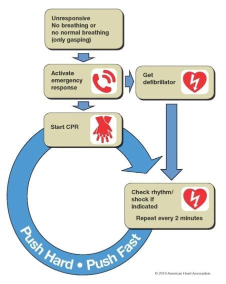 Universal Algorithm for Adult CPR Traditional algorithm updated Alternative