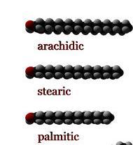 Fatty Acid Length Short chain (4-6 carbon atoms Medium (8-12 carbon atoms) Long chain