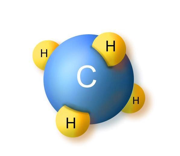 Carbon Bonding Carbon atoms can hold four electrical charges sort of like