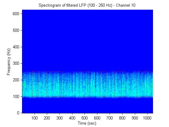 Computing the coherency between the 22 cells and the LFP generated for the 24 1 second run segments these results (Fig.
