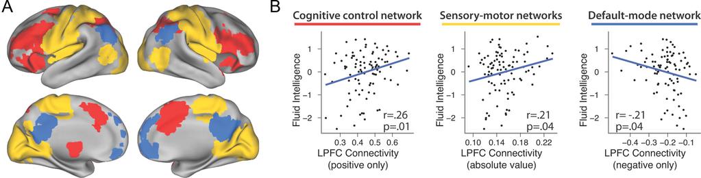 Cole et al. Global Connectivity Predicts Intelligence J. Neurosci., June 27, 2012 32(26):8988 8999 8995 Figure 5. Testing for global or system-specific origins of the LPFC GBC gf effect.