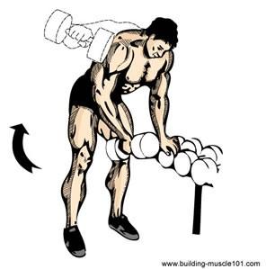 Single Side Dumbbell Lateral Grab a dumbbell with one arm and bring it to your side.