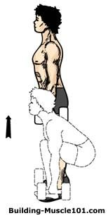 Dumbbell Squat This movement is almost identical to the dumbbell deadlift. The only thing that's different is that your going to concentrate more on the thighs.