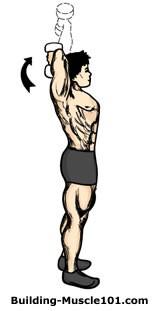 Triceps One Arm Dumbbell Extensions You can either do this exercise seated or standing. I personally prefer to be seated. Take on dumbbell and press it up and over your head.