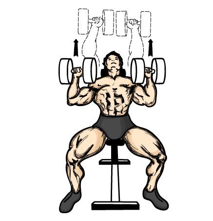 Incline Dumbbell Press This exercise is a great substitute for the incline barbell press. The incline dumbbell press is a great mass builder.