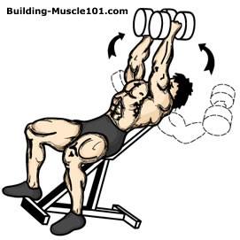 Incline Dumbbell Flyes This movement is almost identical to the flat bench fly, except that your in an incline position.