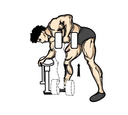Back Single arm dumbbell rowing This is a grea mass builder for the mid back area. This is a pretty simple exercise to perform. Simply grab a dumbbell and find yourself a flat bench.
