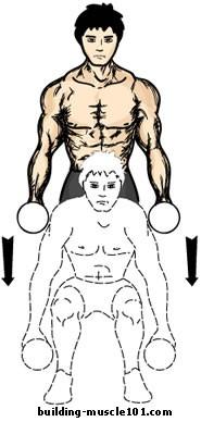 Dumbbell Deadlift This exercise is a great substitute for the barbell dead lift.