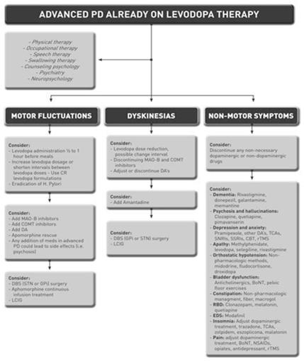 Management of Advanced PD Complex Multi-disciplinary Non-invasive strategies Invasive strategies Individualized Giugni & Okun, 2014 Rehab focus in Advanced Phase H&Y 4 to 5 Maintain or improve