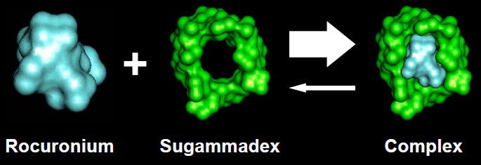 Sugammadex(Bridion) New drug class Selective Relaxant Binding Agent (SRBA) Indication: Reversal of neuromuscular blockade induced by rocuronium or vecuronium.