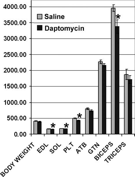 The specific maximum force (sp o,in kn per m 2 ) was used to evaluate any subtleties in the individual differences in the response of individual rats to this dosage of daptomycin (Fig. 3).