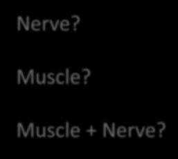 Neuromyopathy Nerve? Muscle? Muscle + Nerve?