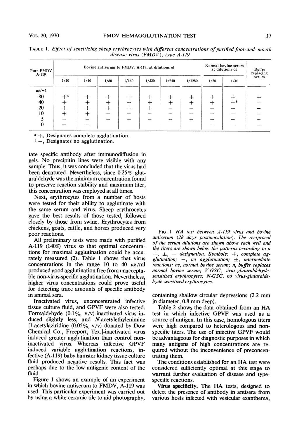 VOL. 20, 1970 FMDV HEMAGGLUTINATION TEST 37 TABLE 1.
