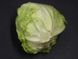 Romaine lettuce contains a high amount