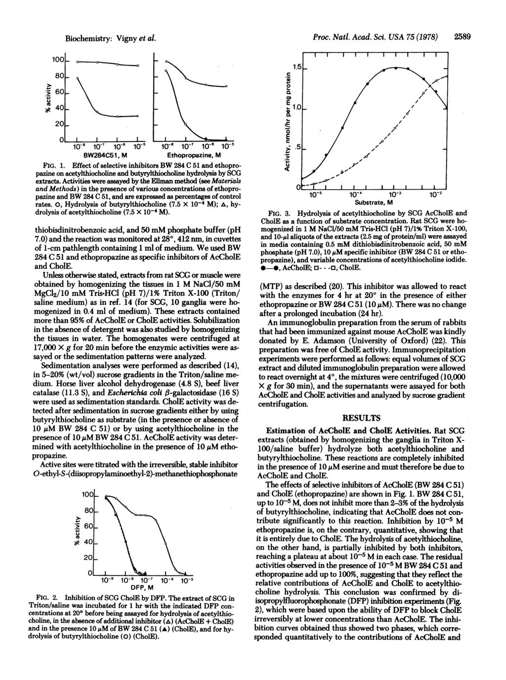 - Biochemistry: Vigny et al. 100[. 801 r._ 60V 08 U 40L 20 Ao fr 10-i 10-7 10-6 10-5 -8 10-7 106 10-5 BW284C51, M thopropazine, M FG. 1. ffect of selective inhibitors BW 284 C 51 and ethopropazine on acetylthiocholine and butyrylthiocholine hydrolysis by SCG extracts.