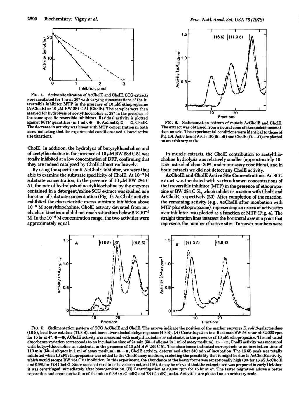 -2-590 0 r. Biochemistry: Vigny et al. Proc. Nati. Acad. Sci. USA 75 (1978) C041.0 o 0 1 2 3 nhibitor, pmol FG. 4. Active site titration of AcChol and Chol.