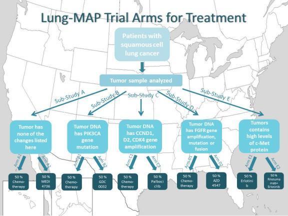 Lung-MAP Launches: First Precision Medicine Trial From National Clinical Trials Network SWOG's Lung-MAP partners National Cancer Institute's National Clinical Trials Network