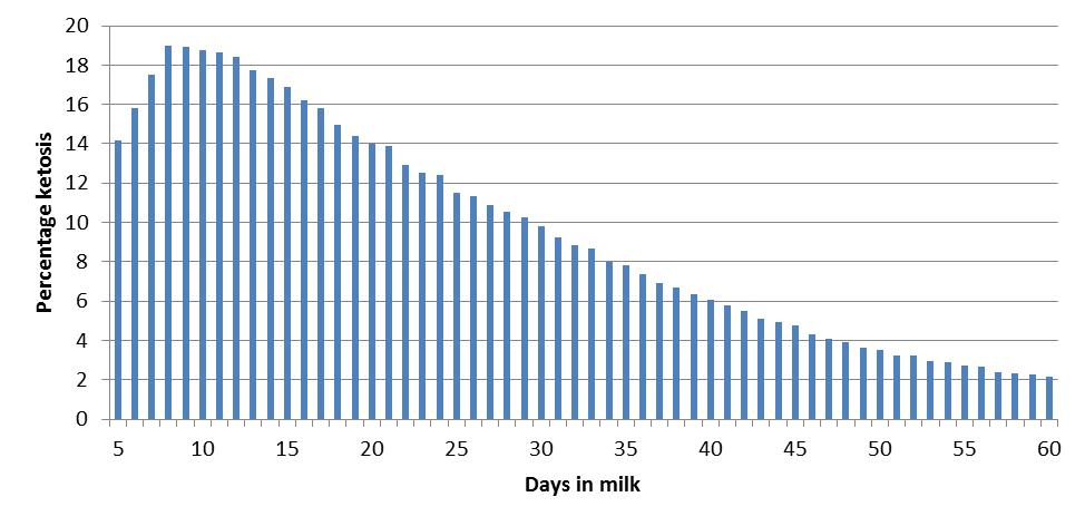 Lactation stage When analysing ketosis, the lactation stage (number of days the cow is in production) at the time of the milk measurement is taken into account.