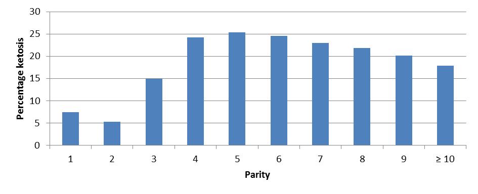 Parity In the analysis of ketosis in older cows (parity 3 and higher), the number of calvings is taken into account.