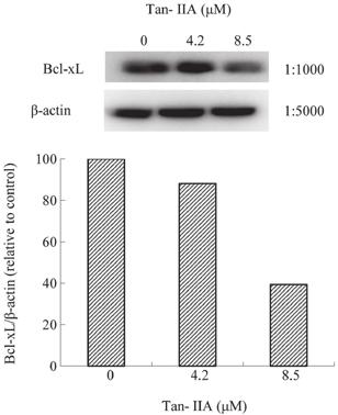 MOLECULAR MEDICINE REPORTS 7: 1045-1049, 2013 1047 Figure 3. Protein expression of TCTP, MCL 1, Bcl xl, Bax and Caspase 3 in BxPC 3 cells. Cells were treated with Tan IIA (0, 4.2 and 8.