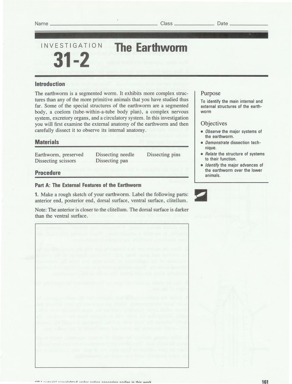 Name Class Date INVESTIGATION 31-2 The Earthworm Introduction The earthworm is a segmented worm.