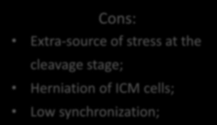 stress at the cleavage stage; Herniation of