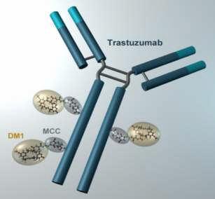 T-DM1 Structure Target expression: HER2 Monoclonal antibody: trastuzumab (Herceptin ) Cytotoxic agent: