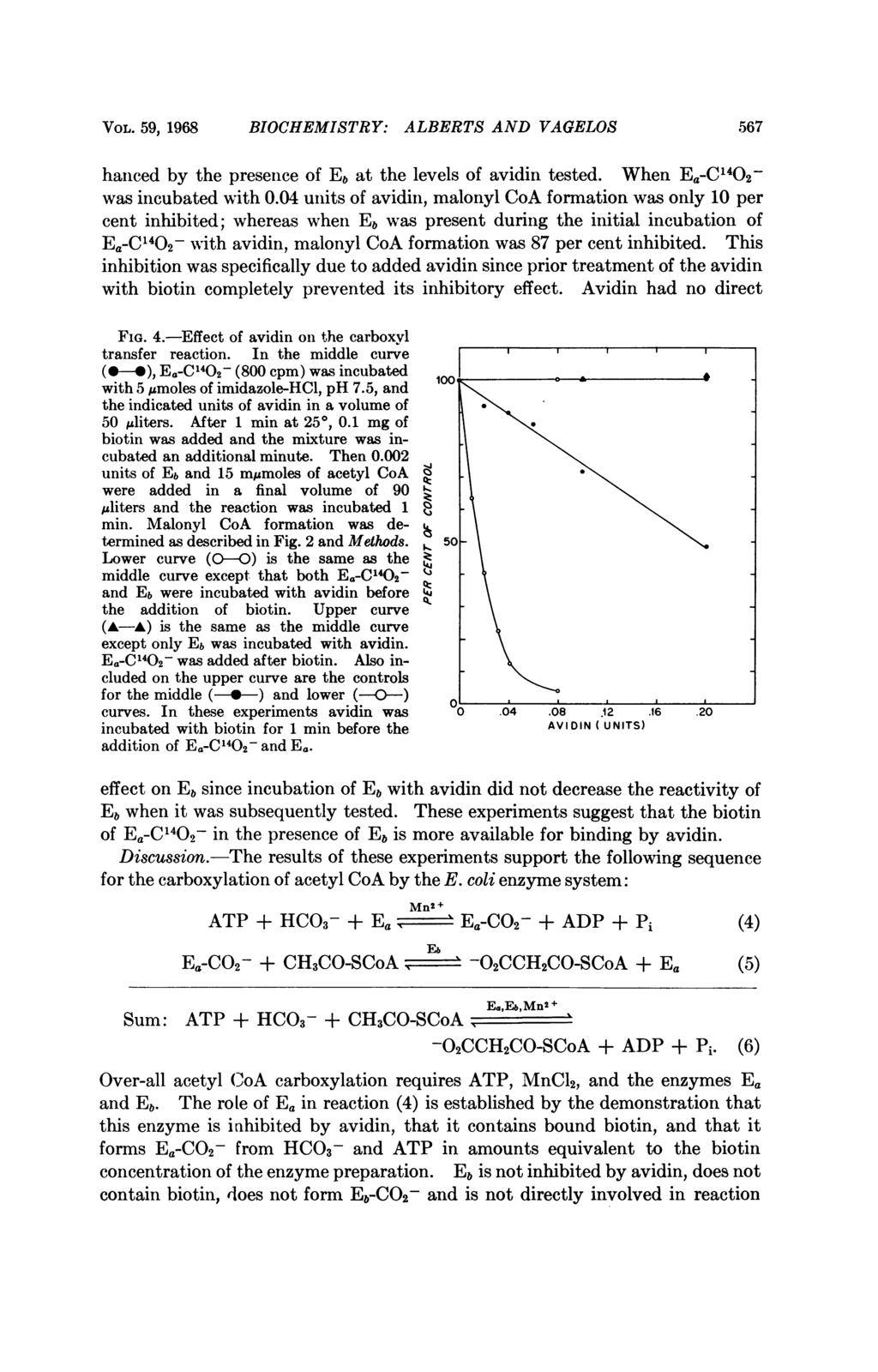 VOL. 59, 1968 BIOCHEMISTRY: ALBERTS AND VAGELOS 567 hanced by the presence of Eb at the levels of avidin tested. When Ea-C142- was incubated with.