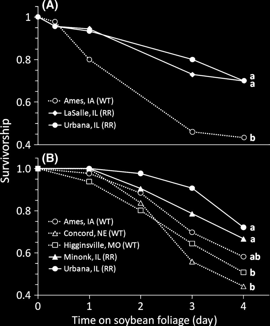 M.J.Curzi et al. Diabrotica Virgifera Contemporary Evolution Figure 2. Survival of WCR adults feeding on soybeans. (A) Experiments were conducted with soybeans grown in the field.