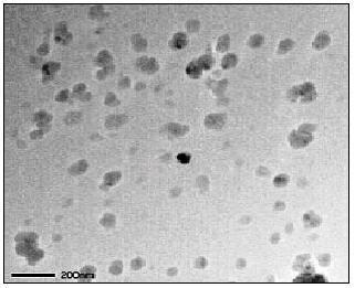 loaded novel SNEDDS. The surface characteristics of SNEDDS-derived nano emulsion are depicted in the figure 6. Figure 6 (a) SEM at 1μm (b) SEM at 2nm 8.