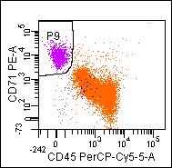 STAT-5 ACTIVATION by EO in MDS CD71+CD45- cells CASE #62 CD71+ CD45- ISOTYE CONTROL