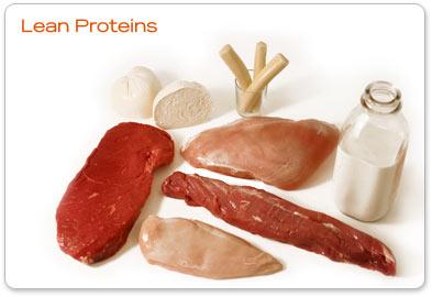 Functions of Proteins p Each protein has a specific role. 1.